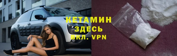 шишки Каменногорск
