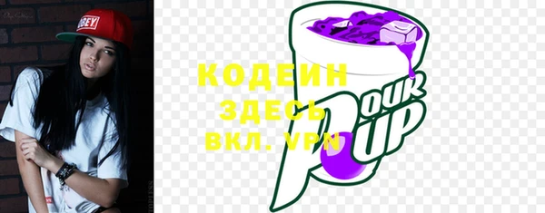 мет Каменка
