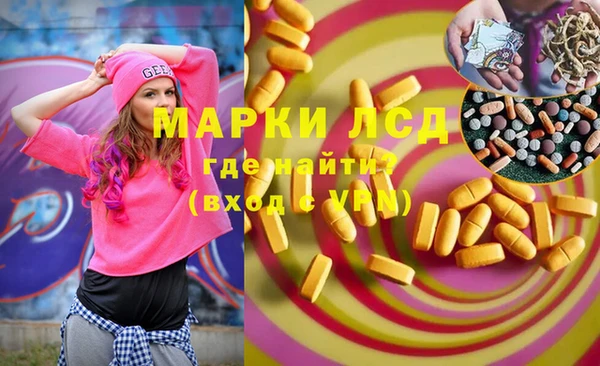 шишки Каменногорск