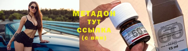 шишки Каменногорск