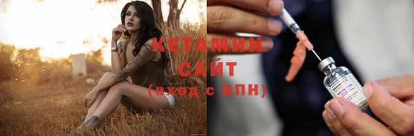 шишки Каменногорск