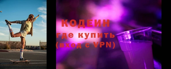 шишки Каменногорск