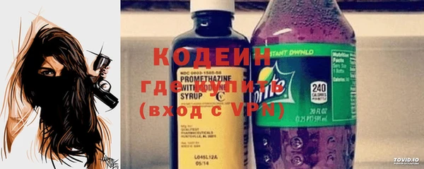 шишки Каменногорск