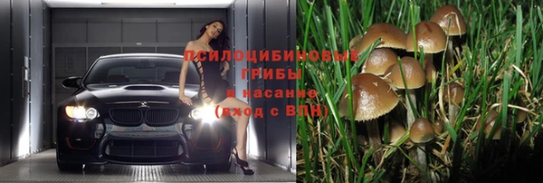 мет Каменка