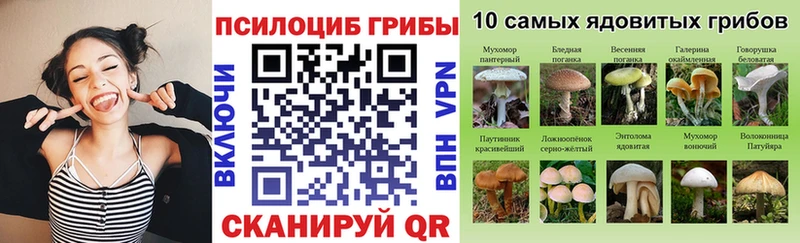 Псилоцибиновые грибы мицелий Кимовск